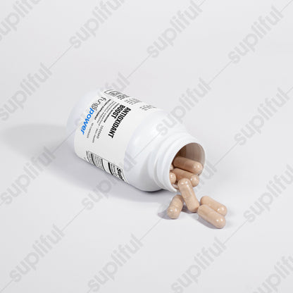 Antioxidant Boost - fungipowerAntioxidant Boost