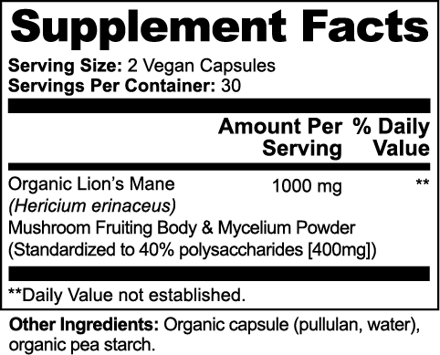 Focus + - fungipowerFocus +